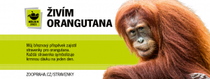 26-orangutan_widget-fb_820x312px.png