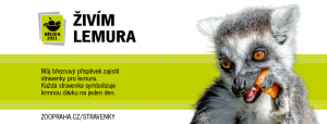 15-lemur_widget-fb_820x312px.png